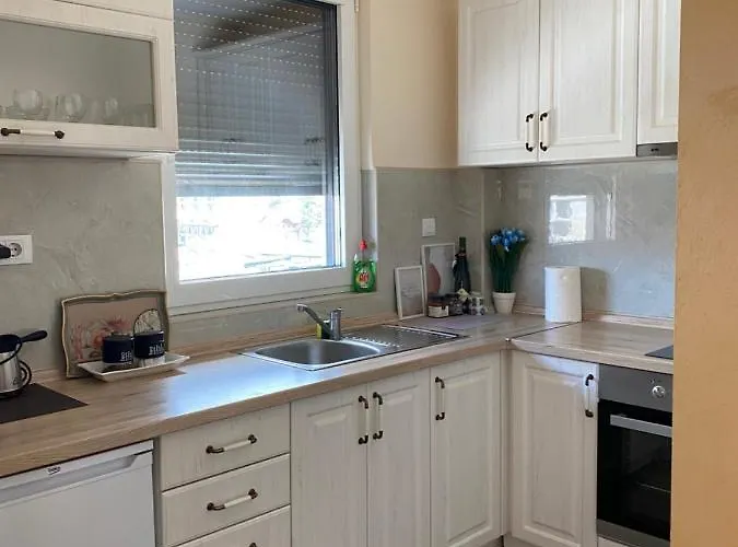 Lux Nena 2 - Zlatibor, Centar